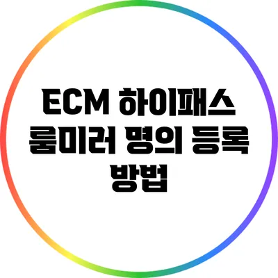 ECM 하이패스 룸미러 명의 등록 방법