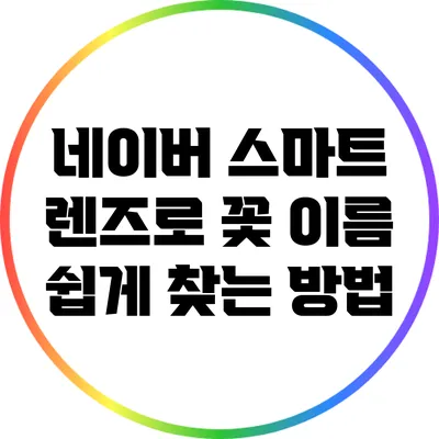 네이버 스마트 렌즈로 꽃 이름 쉽게 찾는 방법