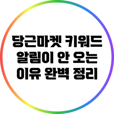 당근마켓 키워드 알림이 안 오는 이유 완벽 정리