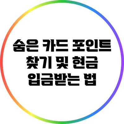 숨은 카드 포인트 찾기 및 현금 입금받는 법