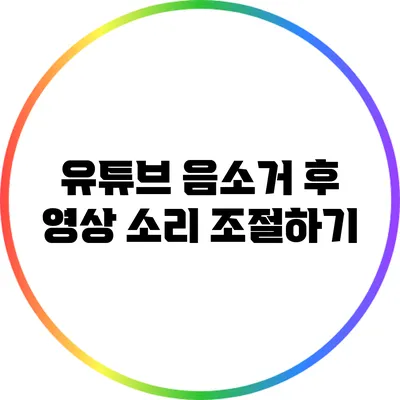 유튜브 음소거 후 영상 소리 조절하기