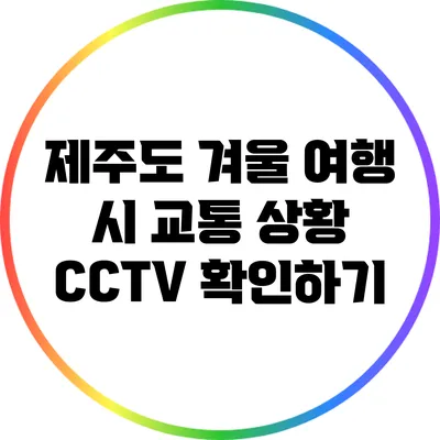 제주도 겨울 여행 시 교통 상황 CCTV 확인하기