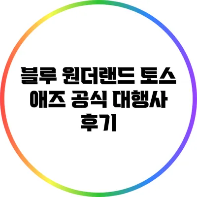 블루 원더랜드: 토스 애즈 공식 대행사 후기