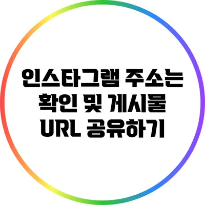 인스타그램 주소는? 확인 및 게시물 URL 공유하기