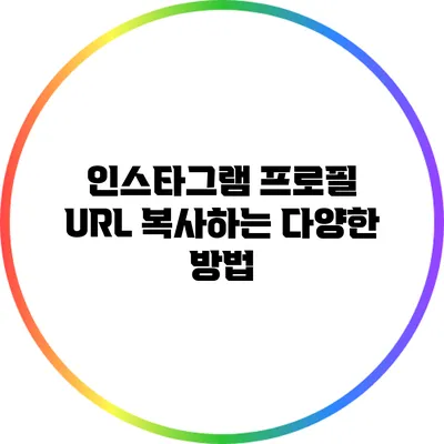 인스타그램 프로필 URL 복사하는 다양한 방법