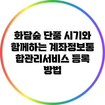 화담숲 단풍 시기와 함께하는 계좌정보통합관리서비스 등록 방법