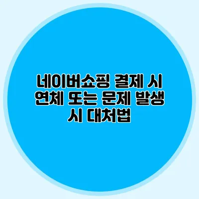 네이버쇼핑 결제 시 연체 또는 문제 발생 시 대처법