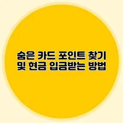숨은 카드 포인트 찾기 및 현금 입금받는 방법