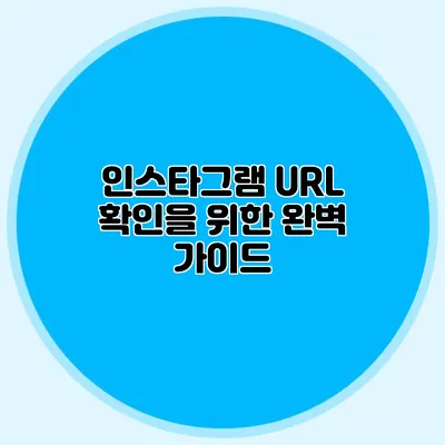 인스타그램 URL 확인을 위한 완벽 가이드
