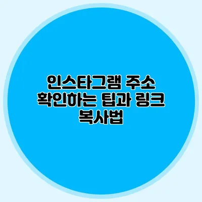 인스타그램 주소 확인하는 팁과 링크 복사법