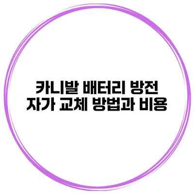 카니발 배터리 방전 자가 교체 방법과 비용