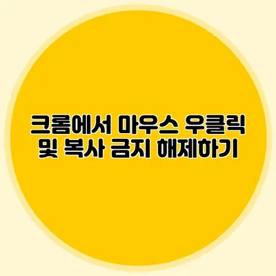 크롬에서 마우스 우클릭 및 복사 금지 해제하기